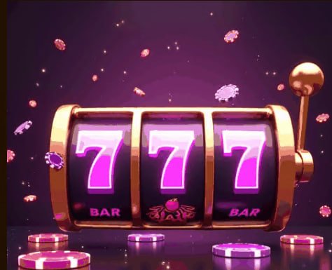 55cc bet